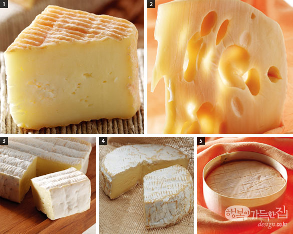프랑스 치즈의 세계